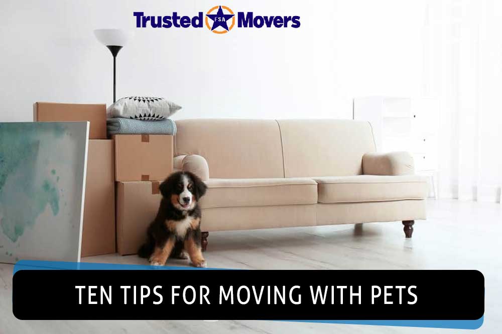 Ten tips for moving with pets