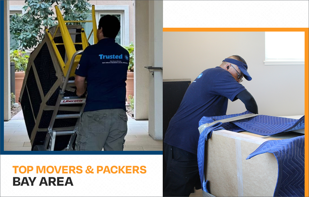 Top Movers and Packers Bay Area
